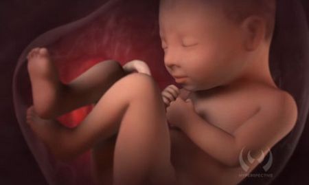 Women Who Had Abortions Say Abortionists Lied to Them About Their Babies