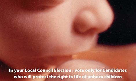 Vote Pro-Life Leaflet Campaign