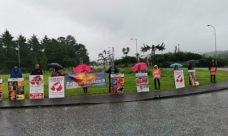 People of South Down brave rain to ask local representatives to Repeal Section 9