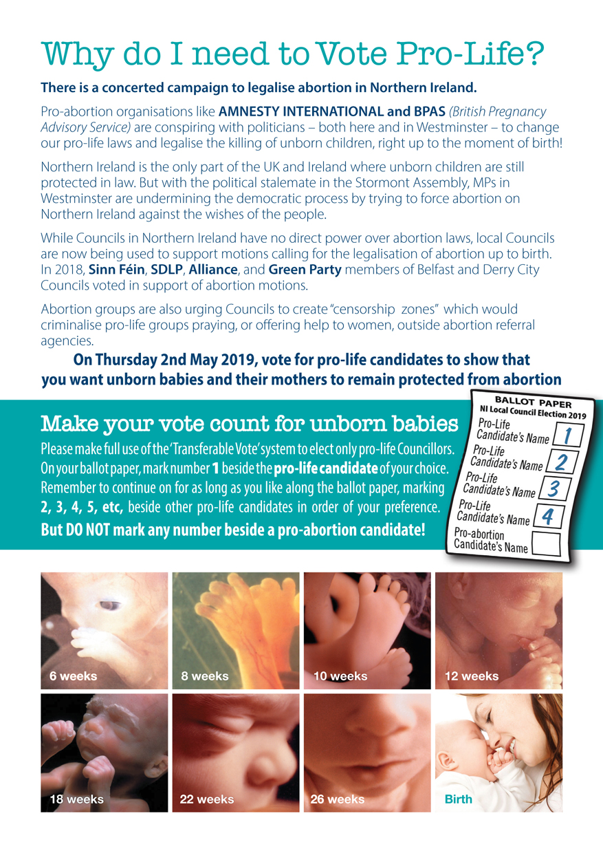 Vote Leaflet Page 2