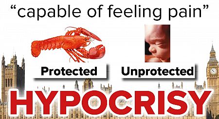 HYPOCRISY - UK Government to protect shellfish from pain, while killing 600 babies per day