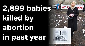 The pro-abortion Political Parties in Northern Ireland have the blood of 11,192 babies on their hands