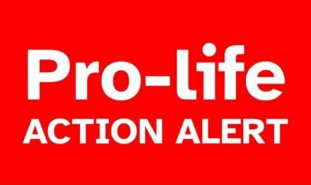 ACTION ALERT - Abortion Zone Bill must be rejected