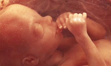 A sad day for New Zealand: MPs vote to introduce barbaric abortion up to birth regime