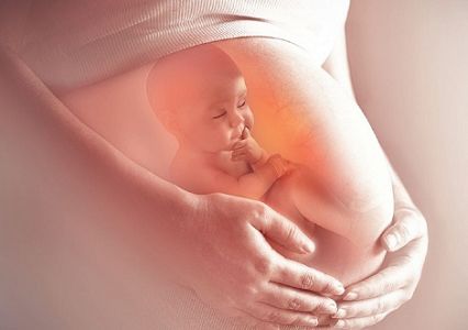 Unborn Children Feel Pain - American College of Pediatricians