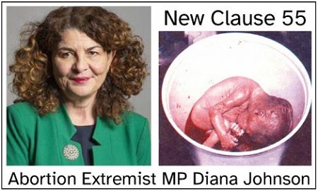 Abortion Extremist MP wants ALL legal protection removed from babies in the womb