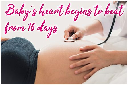 Hungarian women considering abortion must listen to their babies heartbeat