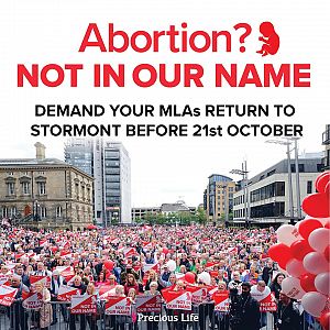 CALL TO ACTION: Demand your MLAs return to Stormont