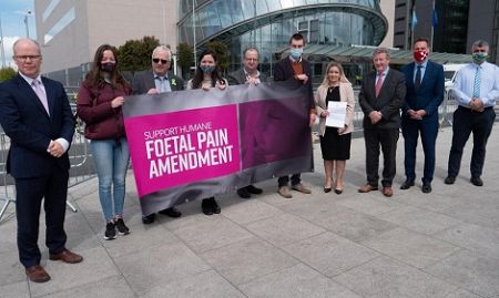 VIDEO : 'Foetal Pain Bill' in Irish Parliament seeks pain relief for unborn babies during late-term abortions