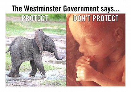 HYPOCRISY OF WESTMINSTER GOVERNMENT: