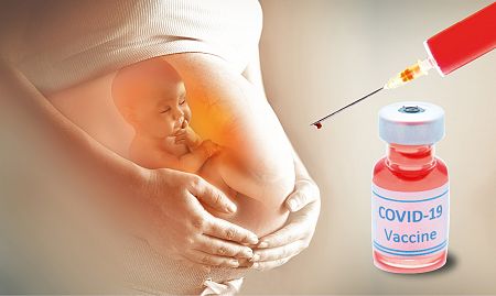 Pregnant women warned by World Health Organisation not to take COVID-19 vaccine