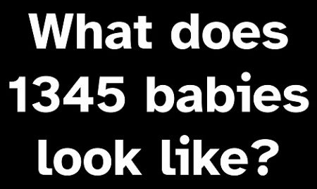 What does 1345 babies look like?