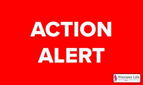 URGENT: Take Action Against calls for dangerous DIY home abortions in Northern Ireland