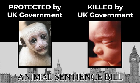UK Government protects