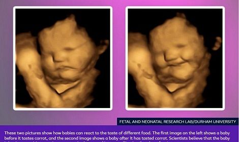 Media hypocrisy exposed by story on unborn babies smiling for carrots and grimacing for greens