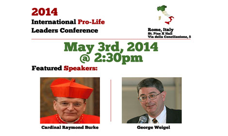 Director of Precious Life, Bernadette Smyth to attend Conference in Rome: hosted by LifeSiteNews