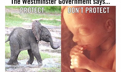 HYPOCRISY OF WESTMINSTER GOVERNMENT: