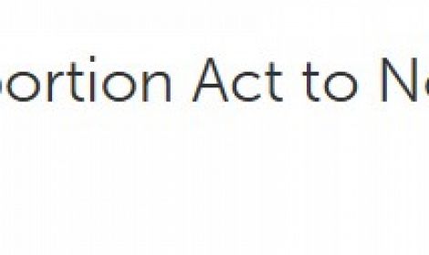 I support extension of Abortion Act to Northern Ireland, says Ruth Patterson